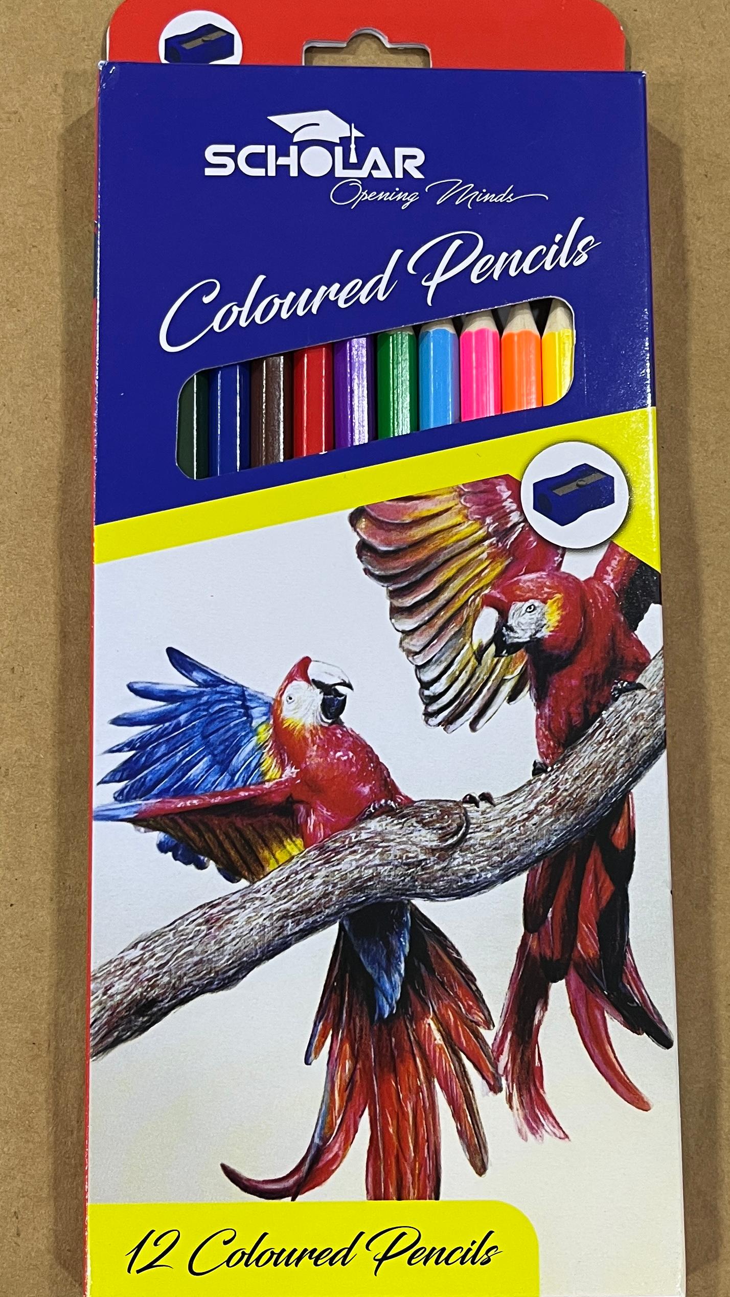 SCHOLAR ASSORTED COLOUR PENCILS W/SHARPENER